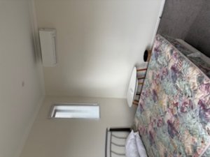 IMG_0585
