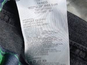 PhotoPuma_20230804_104854