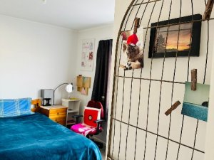 mmexport1692436928930