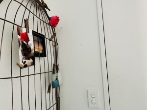 mmexport1692436945585