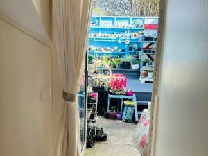 mmexport1695184033493