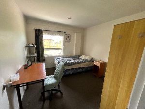 IMG_5595