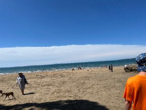 IMG_8581