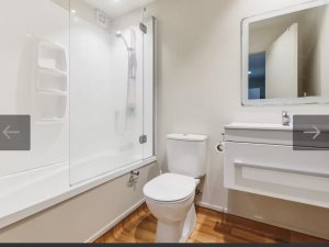 toliet1