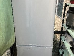IMG_6264