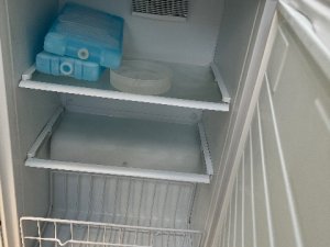 IMG_6266