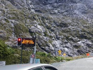 IMG_4124