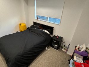 IMG_9881