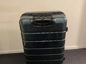 IMG_4298
