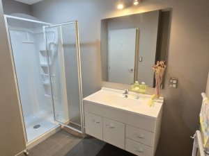 Downstairs bathroom