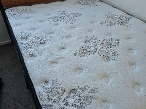 1000045745