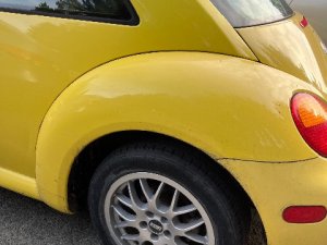 IMG_1743