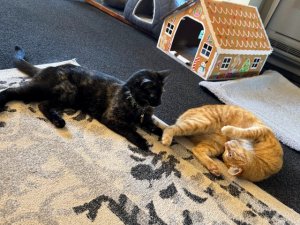 IMG_0125
