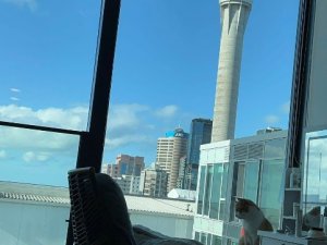 IMG_7930