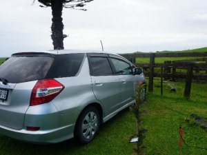 DSC03601