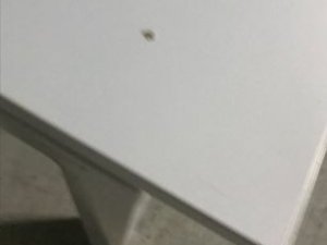 nail
