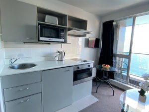 thumbnail_IMG_4167 (1)