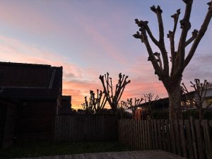 IMG_3644