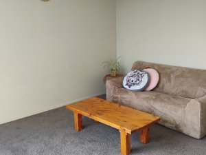 IMG_20250610_103822542