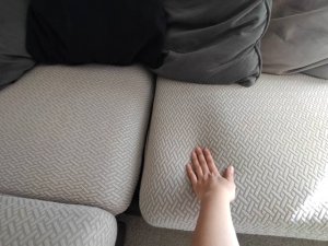 IMG_6146