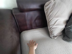 IMG_6147