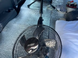 IMG_1913