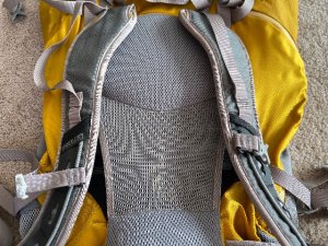 IMG_1779
