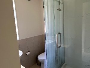 IMG_2553