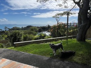 IMG_3937
