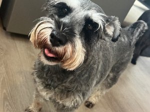 IMG_4680