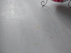 IMG_6185