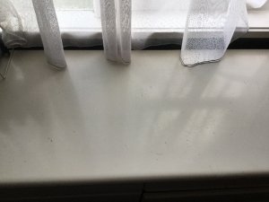 IMG_2320