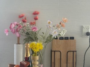 IMG_4518