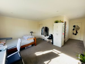 mmexport1738384303275