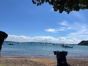 IMG_3549