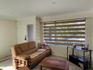 IMG_8994