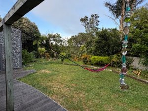 IMG_3431_Original