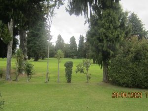 IMG_0003