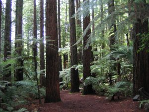 PHOTOS   MAY ..JUNE ..JULY  AUGUST ,,.2009 065