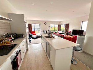 550376321_1318587819812739_4437430573729768658_n