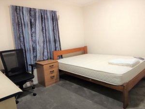 IMG_20210304_210718 (brightened & resized)