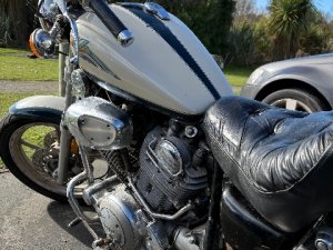 IMG_4246