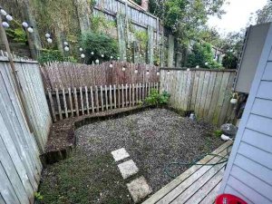 4 backyard