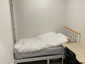 1c1b9d70-6765-4a45-a19a-e1b6ca5f8476