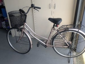 PXL_20251107_040411450