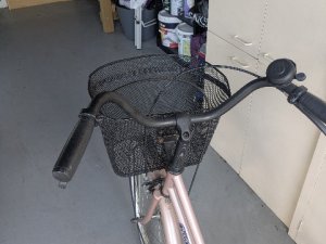 PXL_20251107_040417873