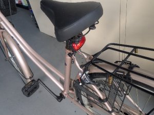 PXL_20251107_040458936