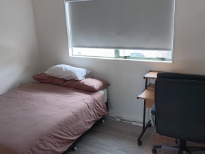 4a8f8977-7722-4f81-9816-934b7fb52c03