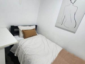 WhatsApp Image 2025-11-12 at 