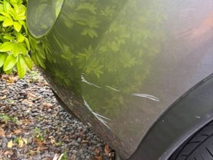 E7336E90-58B3-4F23-AEE3-90D9D7D42419